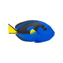 Cargar imagen en el visor de la galería, 100039-Blue Tang