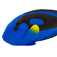 Cargar imagen en el visor de la galería, 100039-Blue Tang
