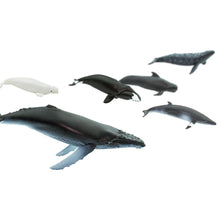 Cargar imagen en el visor de la galería, 100072-Whales