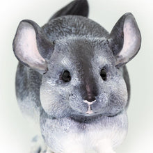 Cargar imagen en el visor de la galería, 100075-Chinchilla |NEW