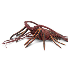 Cargar imagen en el visor de la galería, 100076-Spiny Lobster