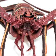 Cargar imagen en el visor de la galería, 100076-Spiny Lobster