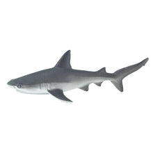 Cargar imagen en el visor de la galería, 100099-Gray Reef Shark