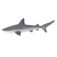 Cargar imagen en el visor de la galería, 100099-Gray Reef Shark