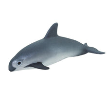 Cargar imagen en el visor de la galería, 100101-Vaquita Porpoise