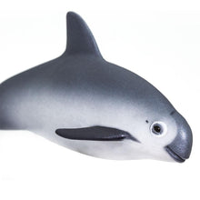 Cargar imagen en el visor de la galería, 100101-Vaquita Porpoise