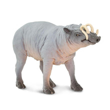 Cargar imagen en el visor de la galería, 100102-Babirusa