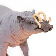 Cargar imagen en el visor de la galería, 100102-Babirusa