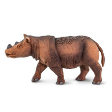 Cargar imagen en el visor de la galería, 100103-Sumatran Rhino