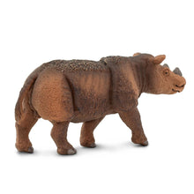 Cargar imagen en el visor de la galería, 100103-Sumatran Rhino