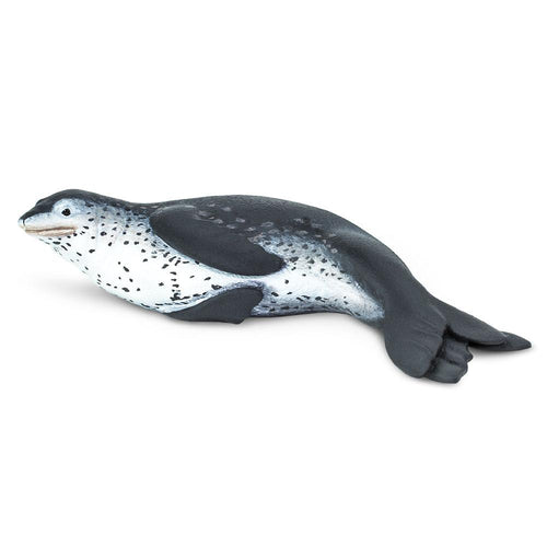 100129-Leopard Seal
