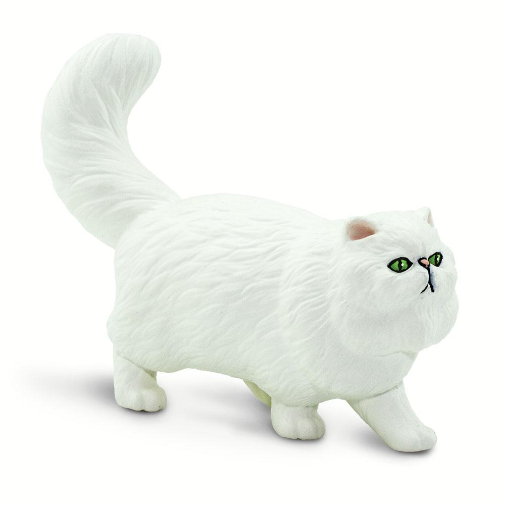 100203-Persian Cat |NEW