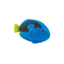 Cargar imagen en el visor de la galería, 100231-Blue Tangs