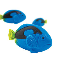 Cargar imagen en el visor de la galería, 100231-Blue Tangs
