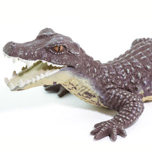 Cargar imagen en el visor de la galería, 100238-Caiman |NEW