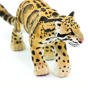 100239-Clouded Leopard |NEW