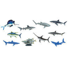 Cargar imagen en el visor de la galería, 100265-Pelagic Fish |NEW