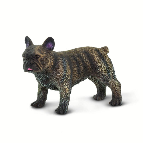 100304-French Bulldog |NEW