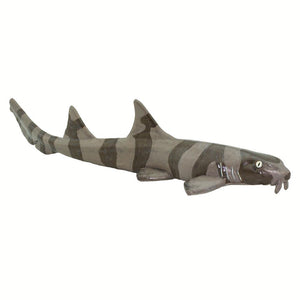 100311-Bamboo Shark |NEW