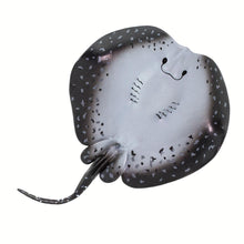 Cargar imagen en el visor de la galería, 100317-Marble Ray |NEW
