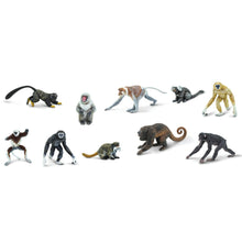 Cargar imagen en el visor de la galería, 100323-Primates |NEW