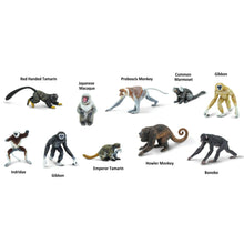 Cargar imagen en el visor de la galería, 100323-Primates |NEW