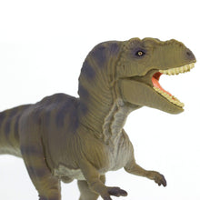 Cargar imagen en el visor de la galería, 100423-Tyrannosaurus Rex |NEW