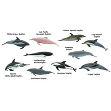 Cargar imagen en el visor de la galería, 100475-Dolphins |NEW