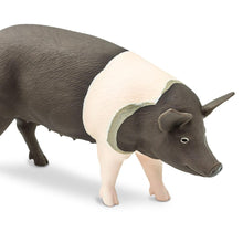 Cargar imagen en el visor de la galería, 161829-Hampshire Pig