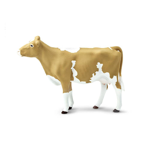 162029-Guernsey Cow
