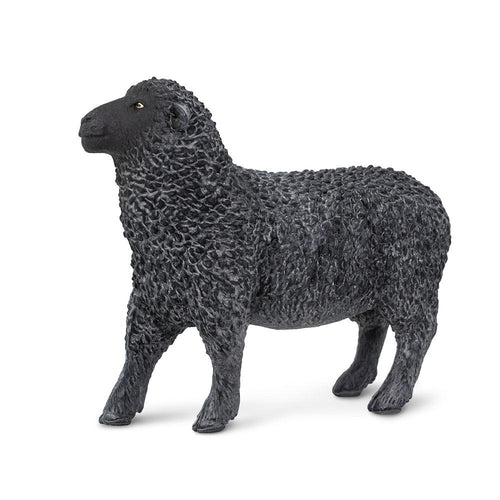 162229-Black Sheep