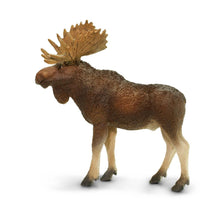Cargar imagen en el visor de la galería, 181029-Bull Moose