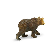 Cargar imagen en el visor de la galería, 181429-Grizzly Bear Cub