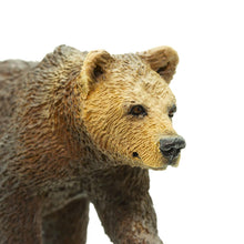 Cargar imagen en el visor de la galería, 181429-Grizzly Bear Cub
