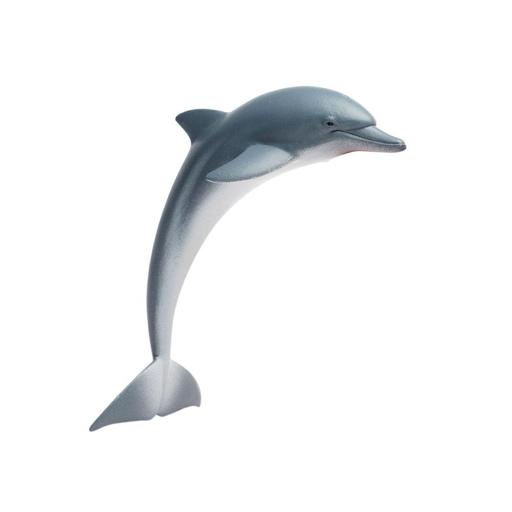 200129-Dolphin