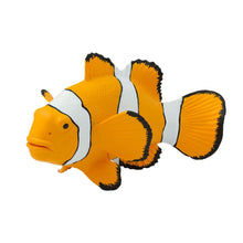 Cargar imagen en el visor de la galería, 204129-Clown Anemonefish