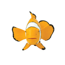 Cargar imagen en el visor de la galería, 204129-Clown Anemonefish