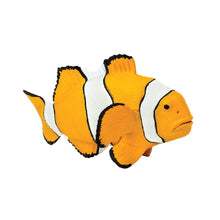 Cargar imagen en el visor de la galería, 204129-Clown Anemonefish