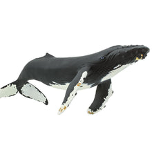 Cargar imagen en el visor de la galería, 210002-Humpback Whale