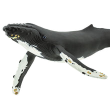 Cargar imagen en el visor de la galería, 210002-Humpback Whale
