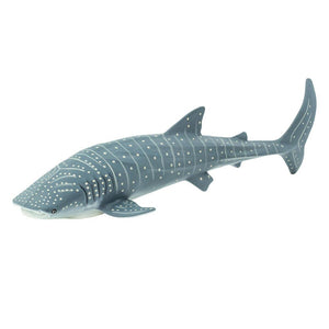 210602-Whale Shark