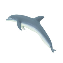 Cargar imagen en el visor de la galería, 210802-Bottlenose Dolphin
