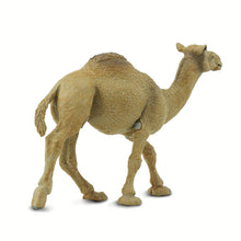 Cargar imagen en el visor de la galería, 222429-Dromedary Camel