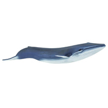 Cargar imagen en el visor de la galería, 223229-Blue Whale