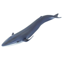 Cargar imagen en el visor de la galería, 223229-Blue Whale