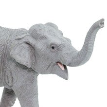 Cargar imagen en el visor de la galería, 227529-Asian Elephant
