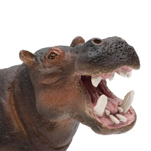 Cargar imagen en el visor de la galería, 229029-Hippopotamus