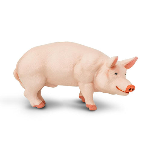 235229-Boar