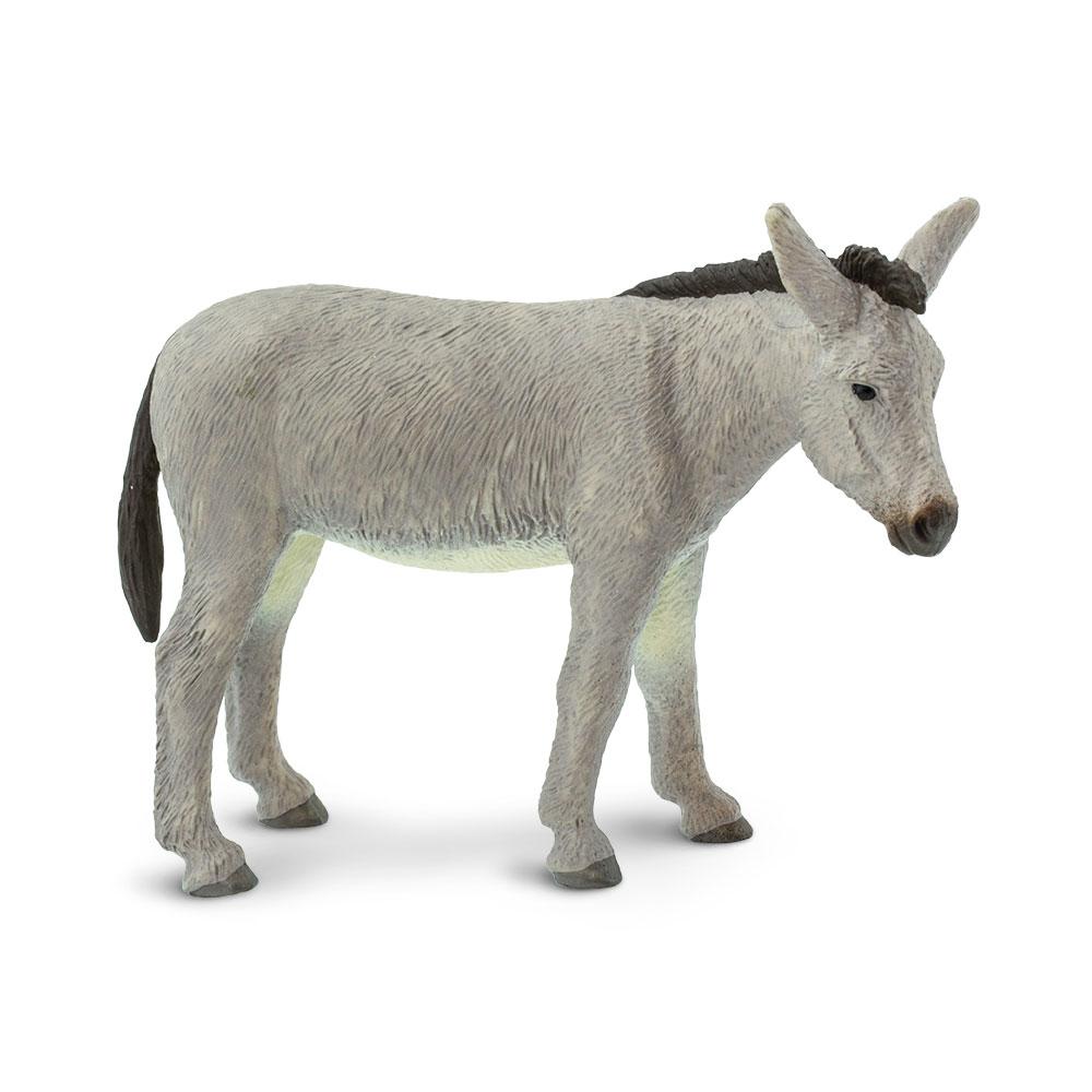 249829-Donkey
