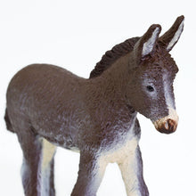 Cargar imagen en el visor de la galería, 249929-Donkey Foal